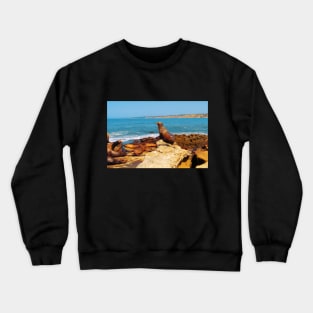 San Diego La Jolla Cove Sea Lions California USA Photography Crewneck Sweatshirt